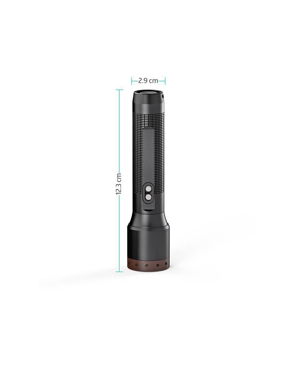 Linterna de mano Serie P 9