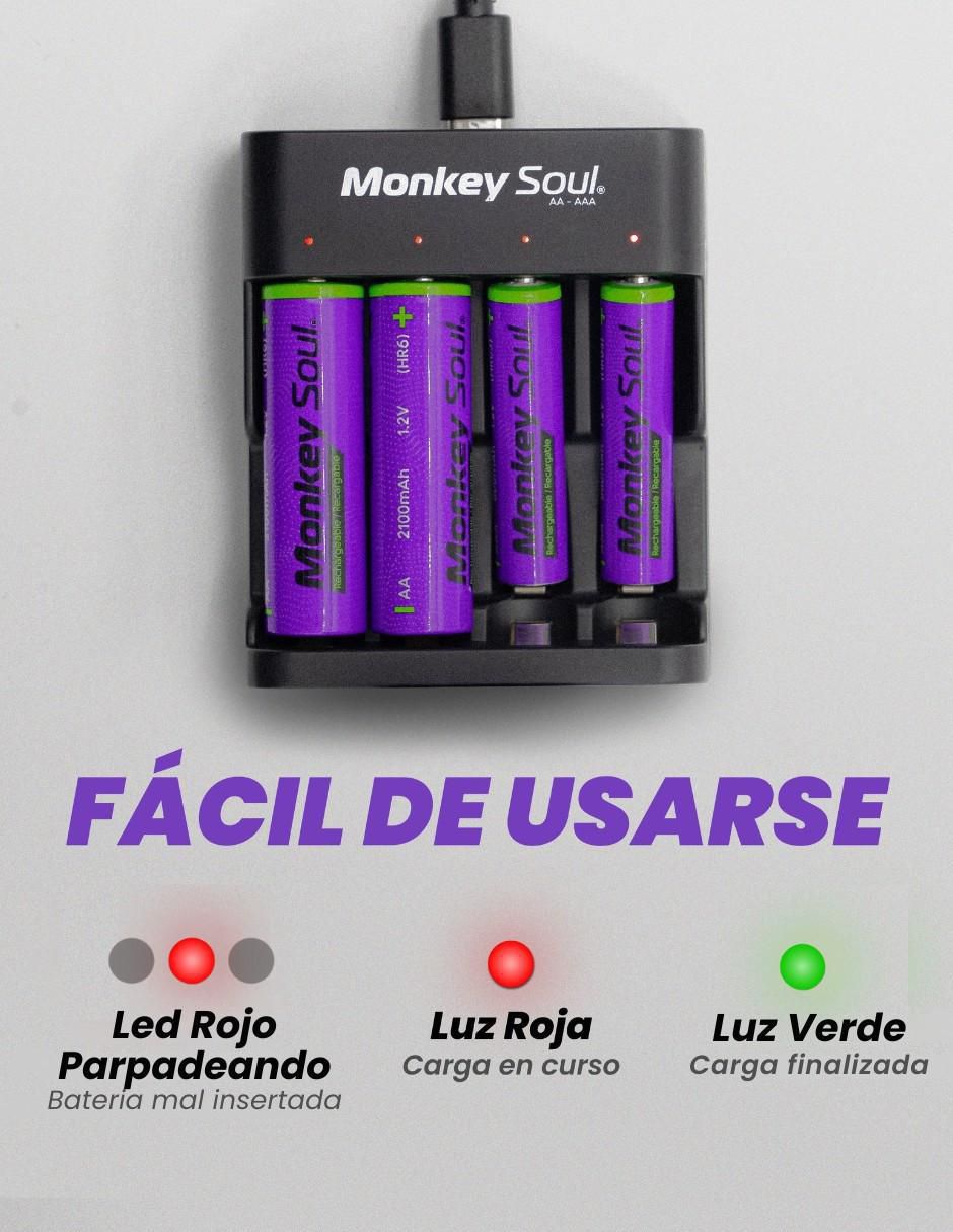 Cargador de pilas de 5 w usb tipo c