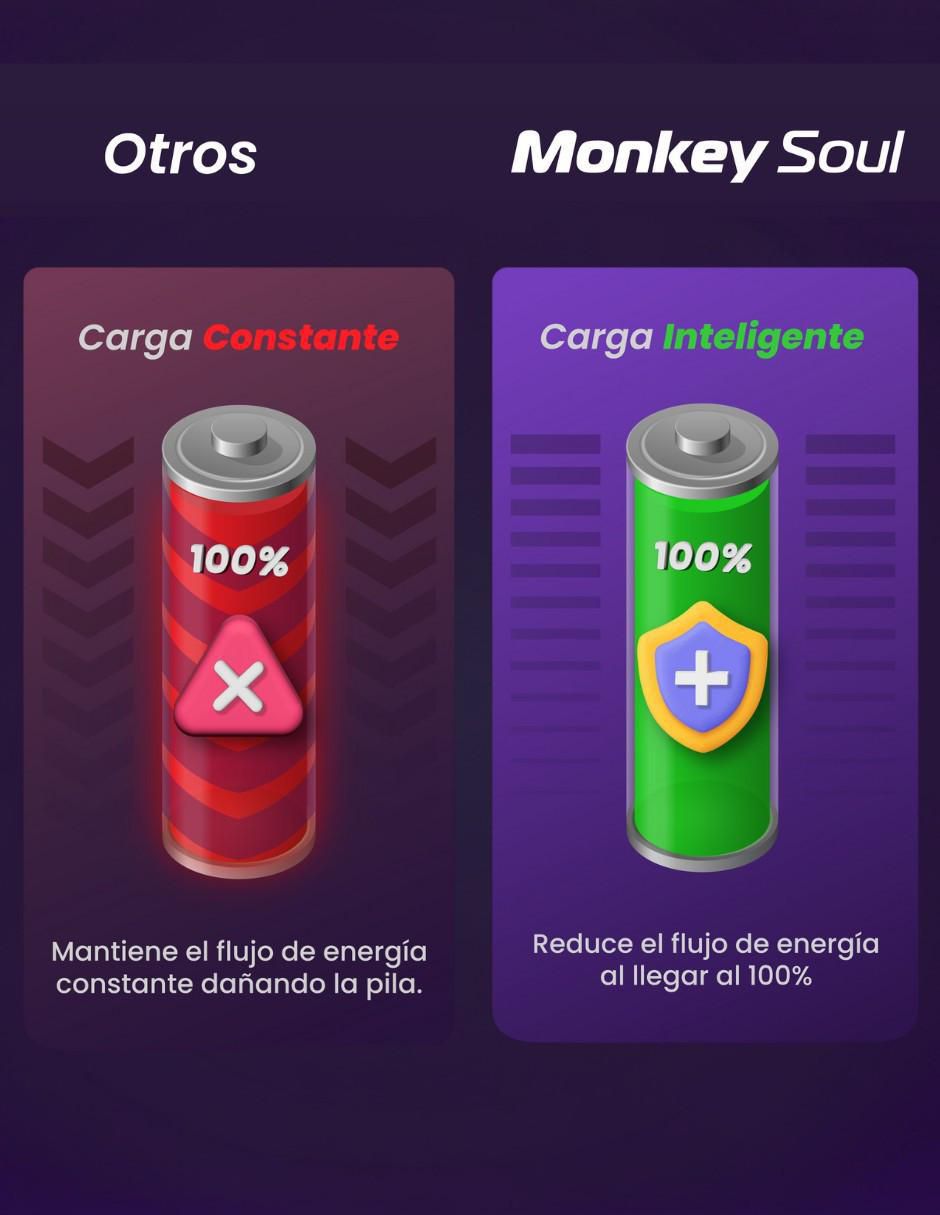 Cargador de pilas de 5 w usb tipo c