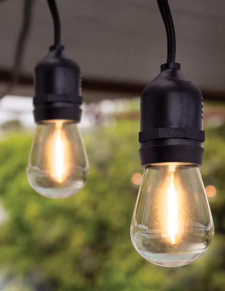 Serie de focos de led con 24 focos 3
