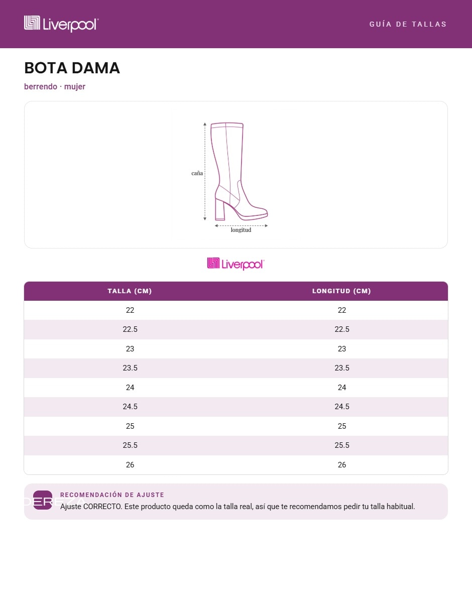 Bota industrial 3