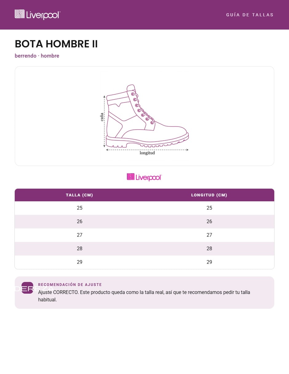 Bota industrial 3