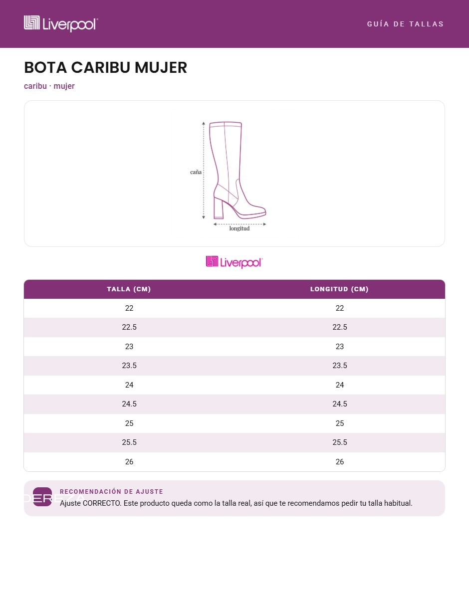 Bota industrial 3
