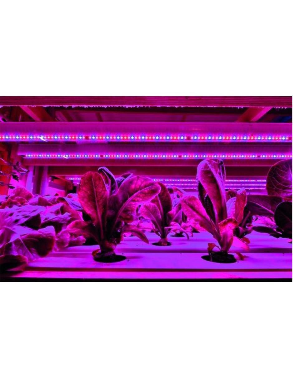 Serie de focos de led 3
