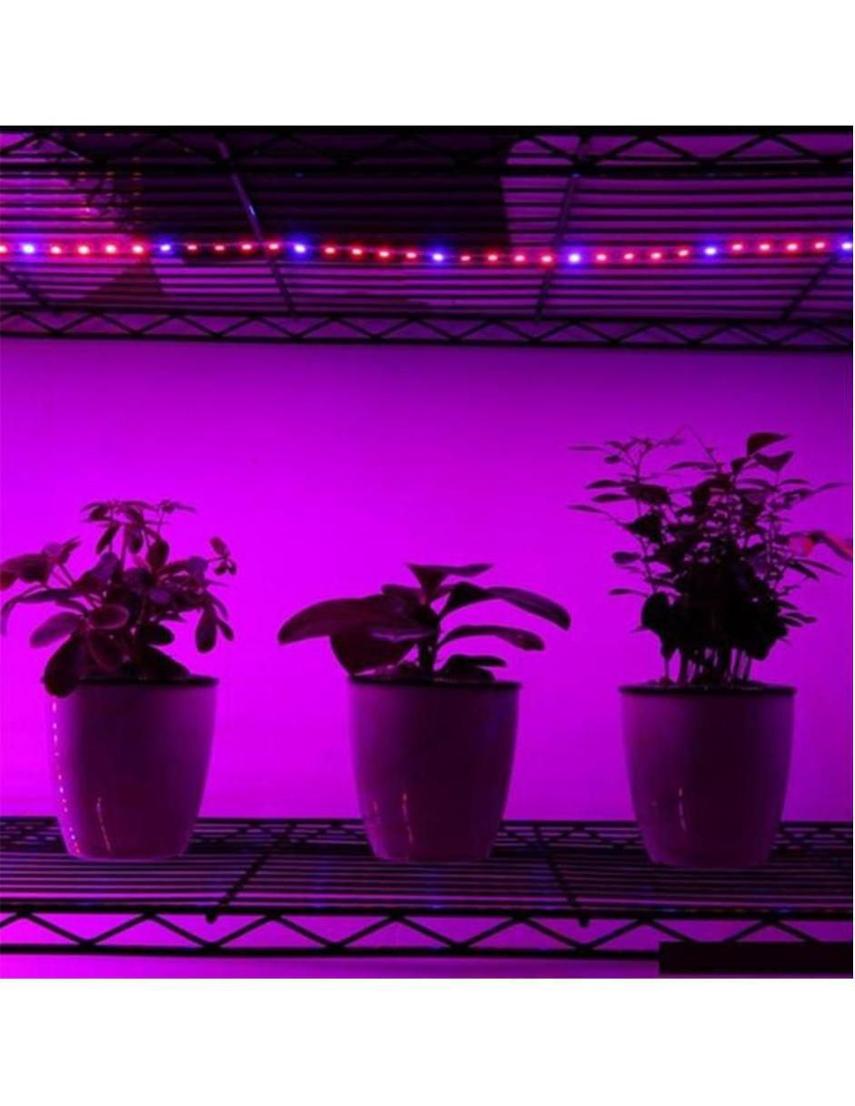 Serie de focos de led 4