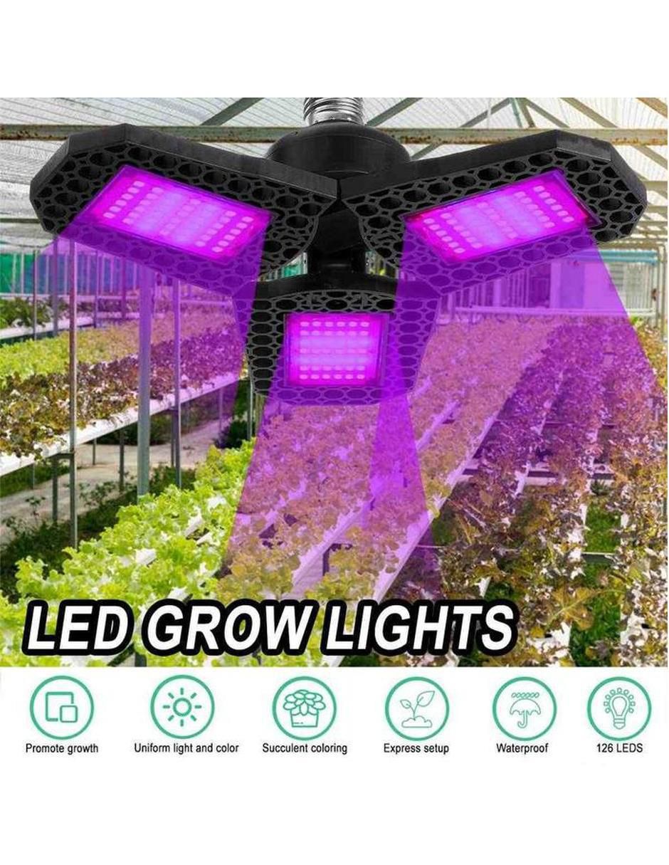 Serie de focos de led con 3 focos 3