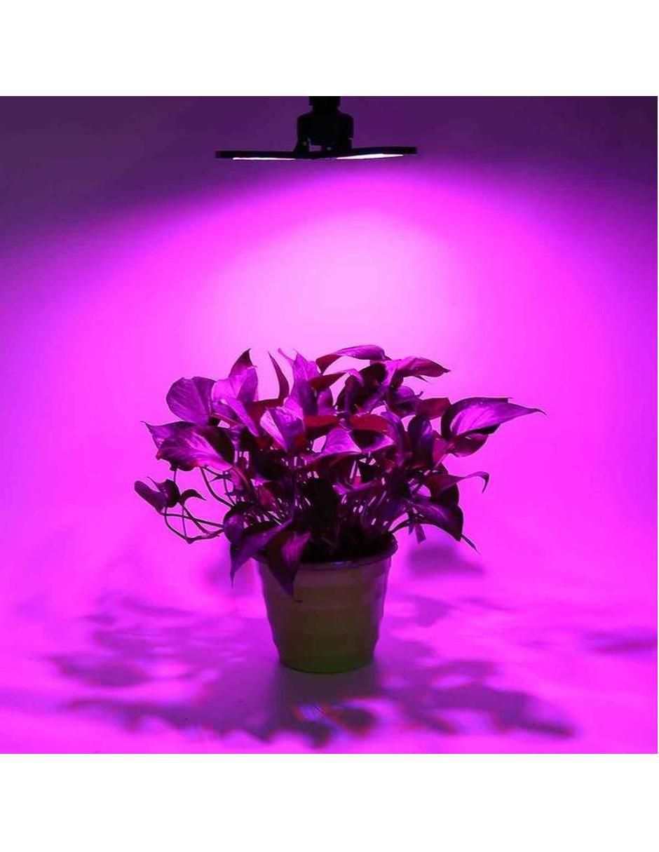 Serie de focos de led con 3 focos 4