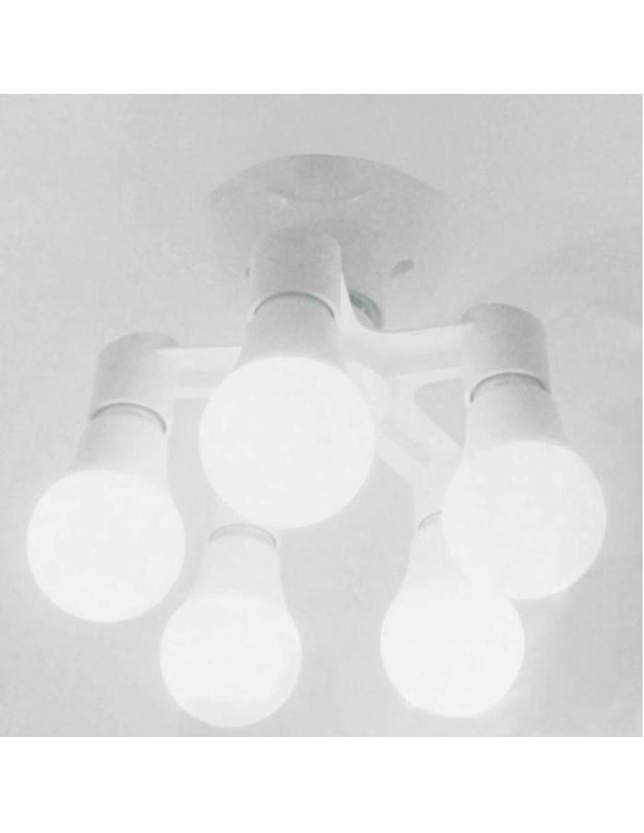 Socket