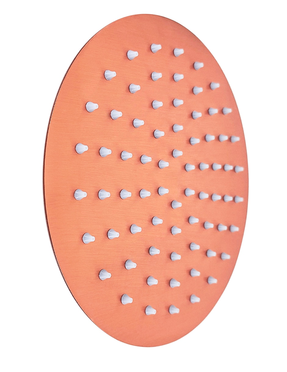 Regadera para baño