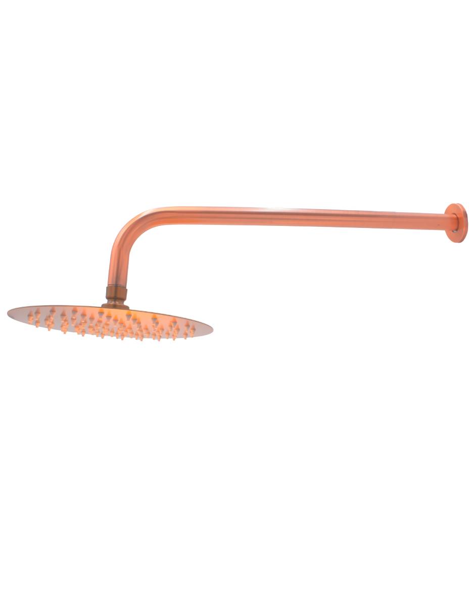 Regadera para baño