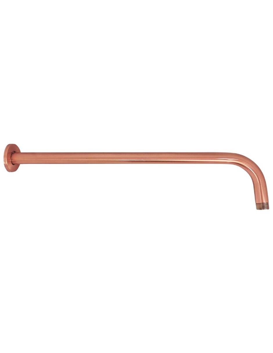 Regadera para baño 2