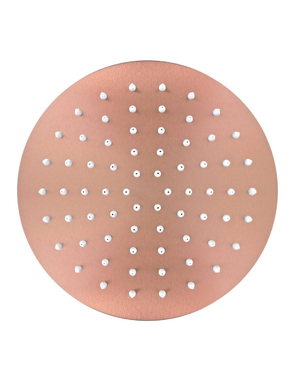 Regadera para baño 3