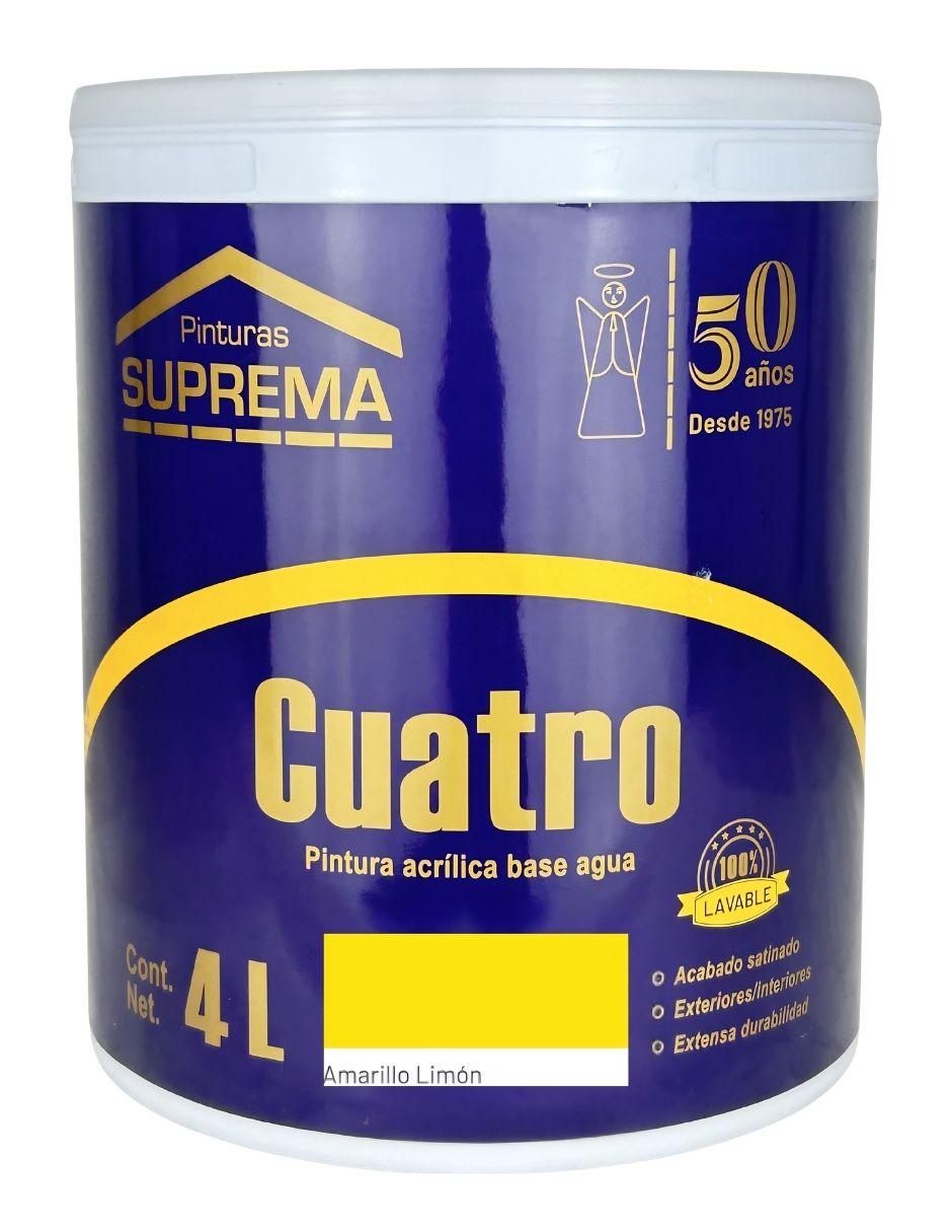 Pintura línea 4 Pintura línea 4