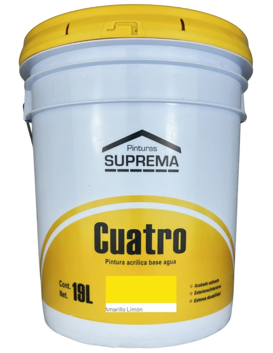 Pintura línea 4 Pintura línea 4